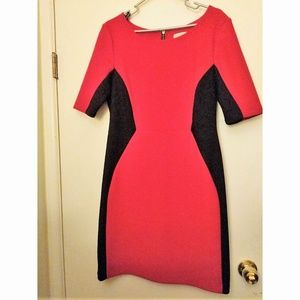 Bisou Bisou Elbow-Sleeve Exposed Zipper Colorblock